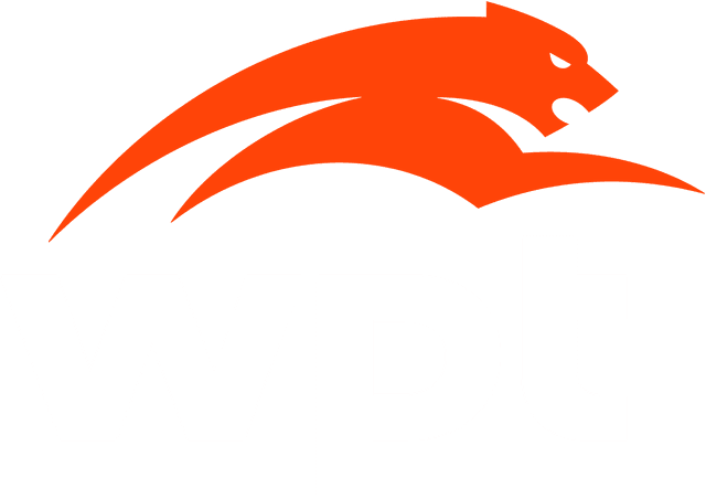 WPT